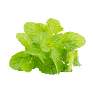 peppermint-tea-640x480-43262875.png