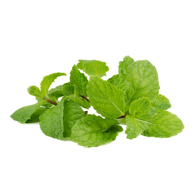 peppermint-tea-640x480-58396349.png