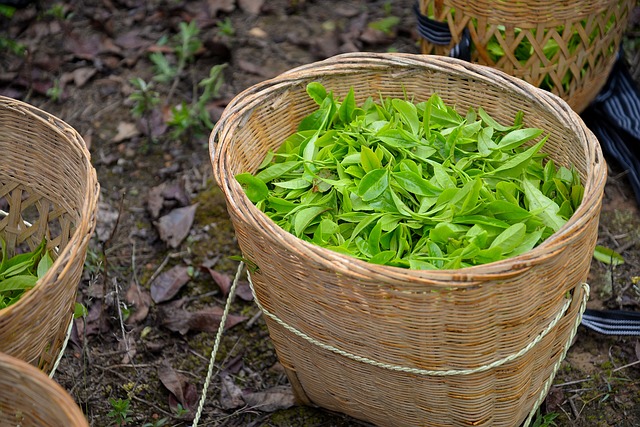 Peppermint Tea