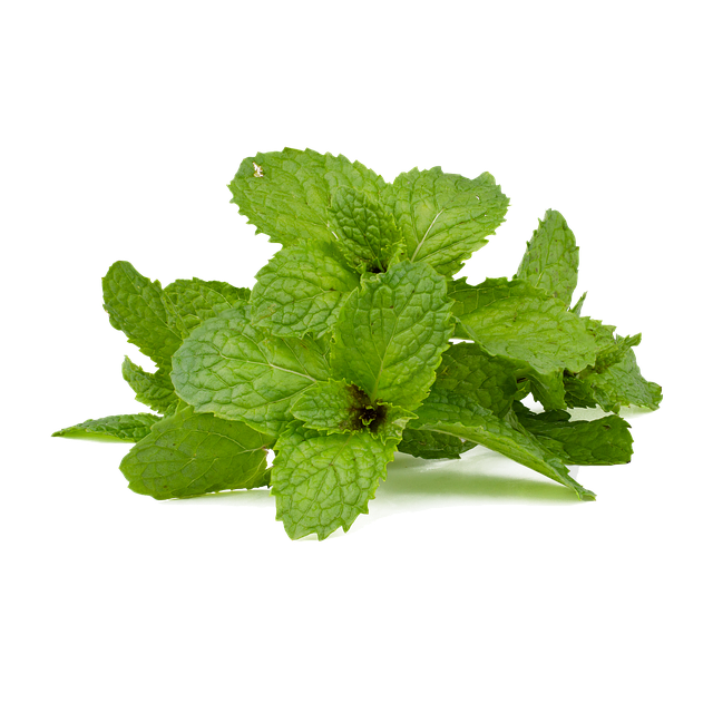 Peppermint Tea