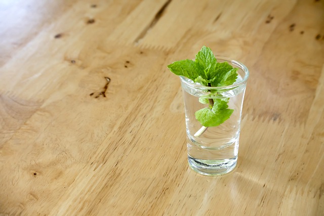 peppermint-tea-640x480-84768685.jpeg