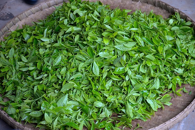 Peppermint Tea