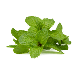peppermint-tea-640x480-91938733.png
