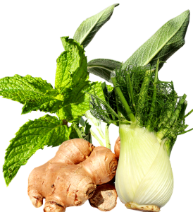 peppermint-tea-benefits-640x480-2795313.png
