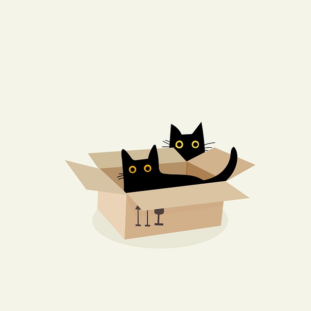 Playful Marmalade Cats