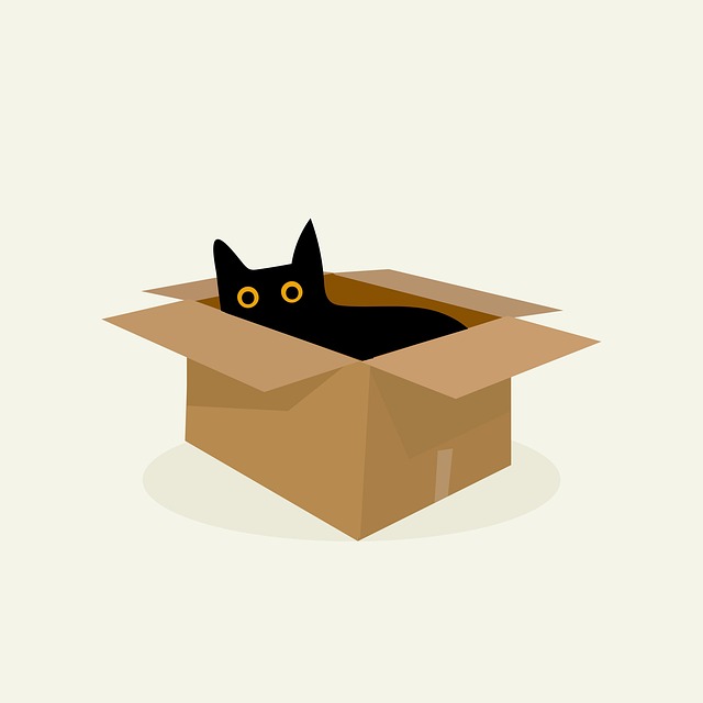 Playful Marmalade Cats
