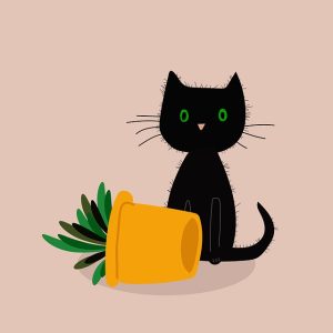 playful-marmalade-cats-640x480-96743512.jpeg