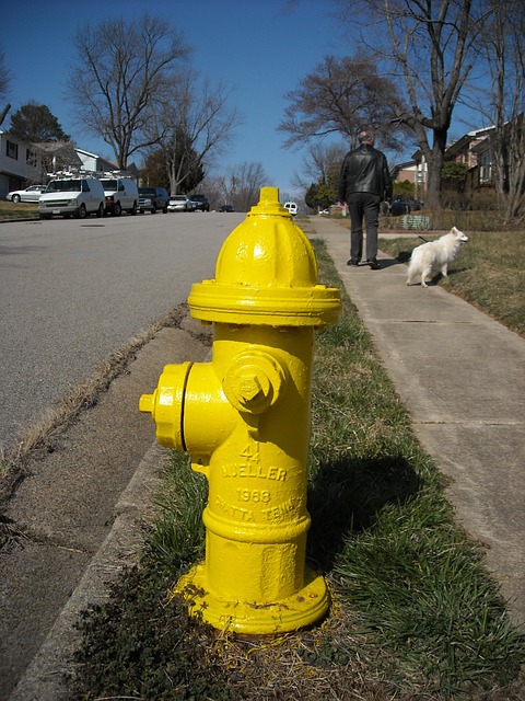 plumbing