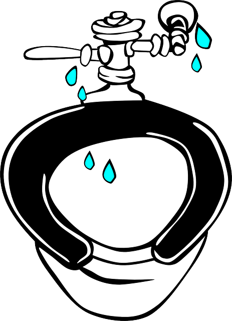 plumbing services
