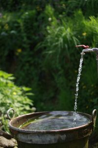 plumbing-services-640x480-74929039.jpeg