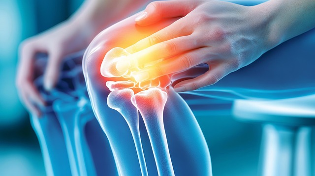 premises injury