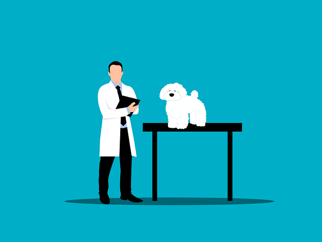 preventive care