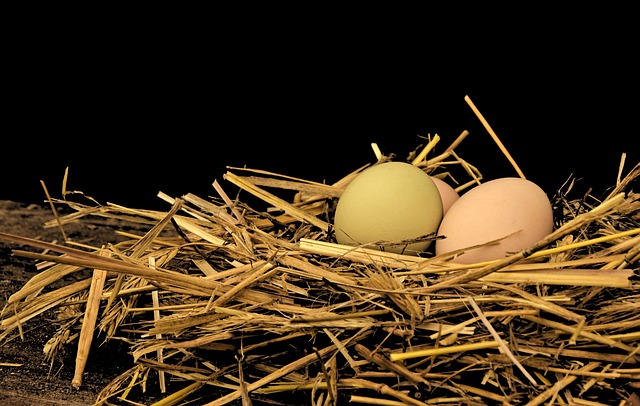 product liability injuries