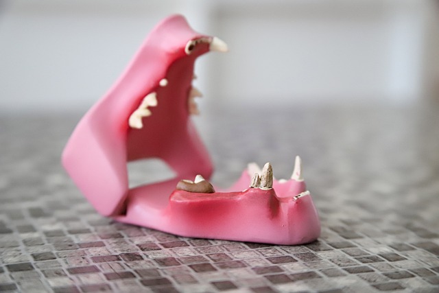 prosthodontics dentistry