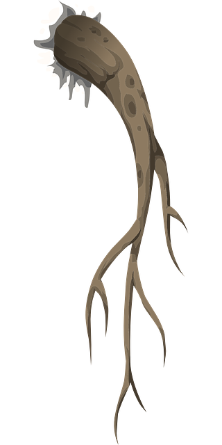 root canals