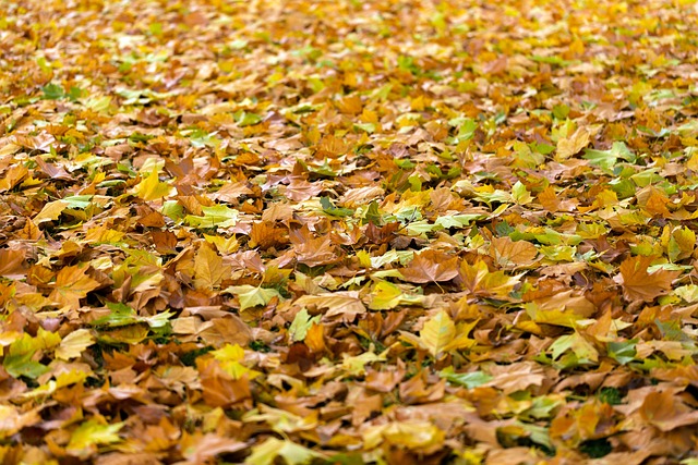 slip and fall injuries