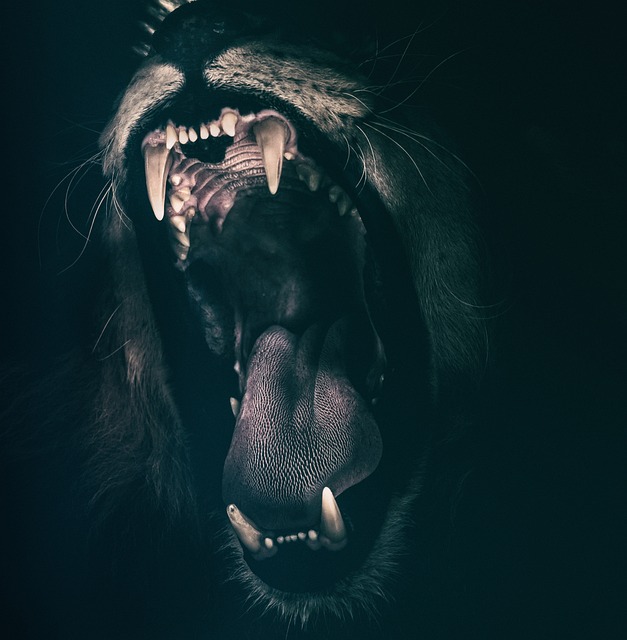 teeth whitening
