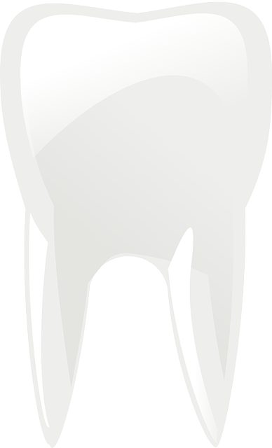 tooth bonding dentistry