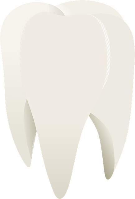 tooth braces