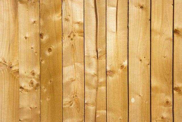 veneers