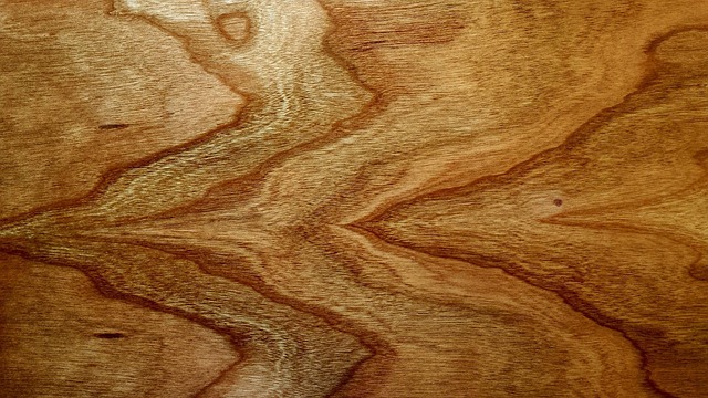 veneers