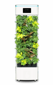 air-purifier-reviews-640x480-73309843.png