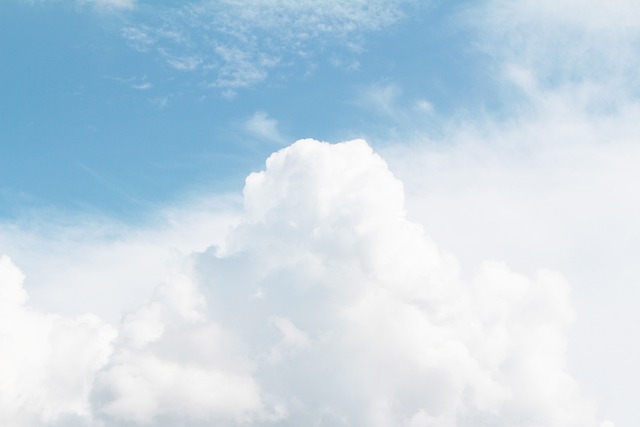 air purifiers