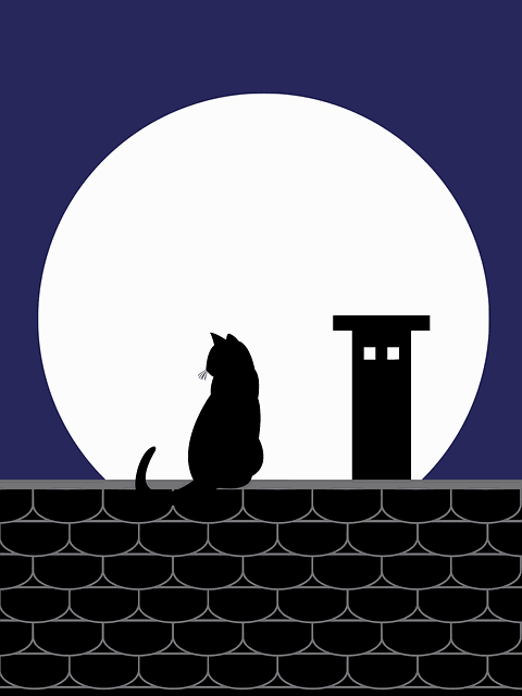 best-air-purifier-for-pets-640x480-87473874.png