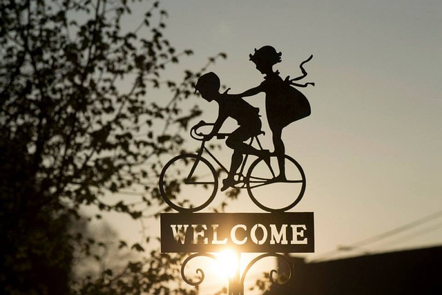 bicycle accident injuries