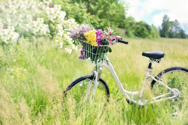 bicycle-injury-640x480-87673245.jpeg