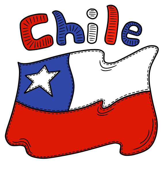 Custom Mouthguards: Personalized Smile Protection for Optimal Safety