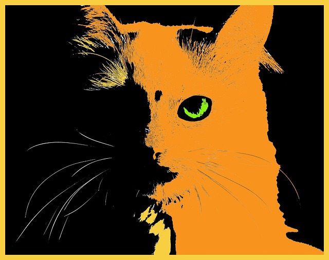 Cute Orange Cats