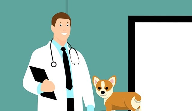 dental-checkups-640x480-7717070.jpeg