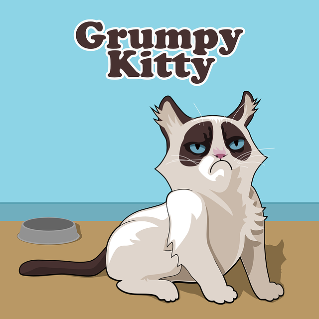Domestic Cats
