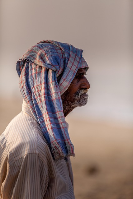 Elderly Companion Services: Navigating Care, Enhancing Quality of Life