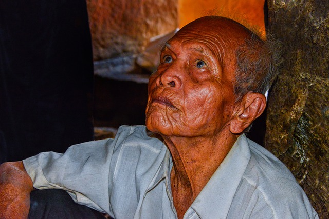 Elderly Companion Services: Benefits and Choices for In-Home Health Monitoring