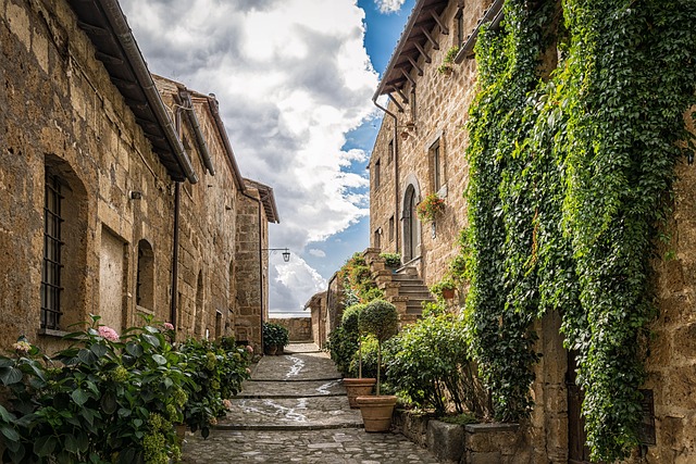 Personalized House Sitting Plans: Strategies for Successful Care