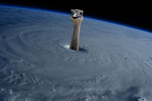 hurricane-damage-injuries-640x480-55957689.jpeg