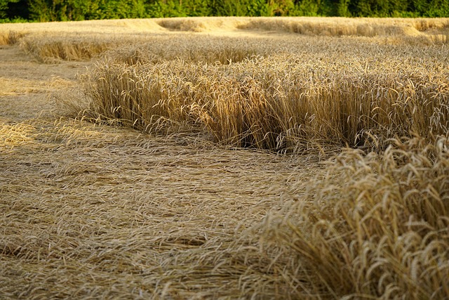hurricane damage injuries