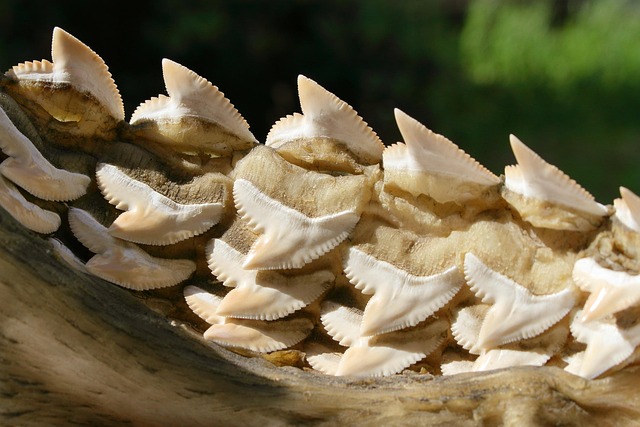 jaw pain blog