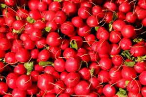 local-food-640x480-41692117.jpeg