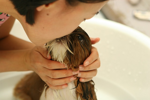 oral-hygiene-640x480-30202144.jpeg
