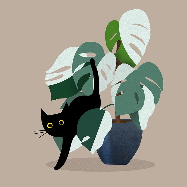 Unleashing the Charm: A Guide to Orange Kitten Care and Adoption