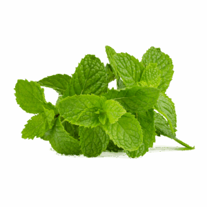 peppermint-tea-640x480-22865103.png
