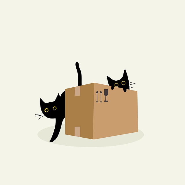 Playful Marmalade Cats