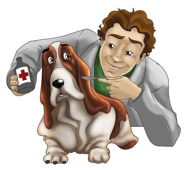preventive care