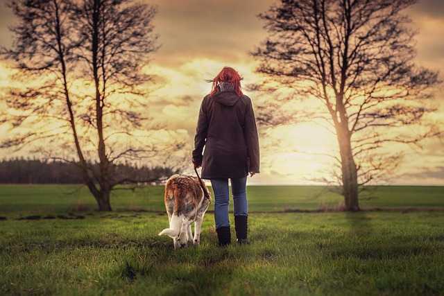 best air purifier for pets