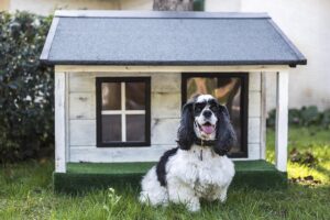 best-air-purifier-for-pets-640x480-6716438.jpeg