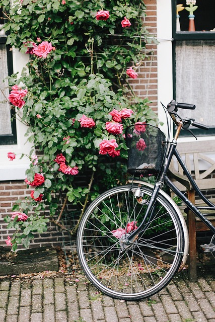 bicycle accident injuries
