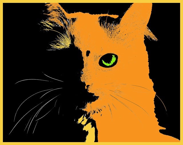 Cute Orange Cats
